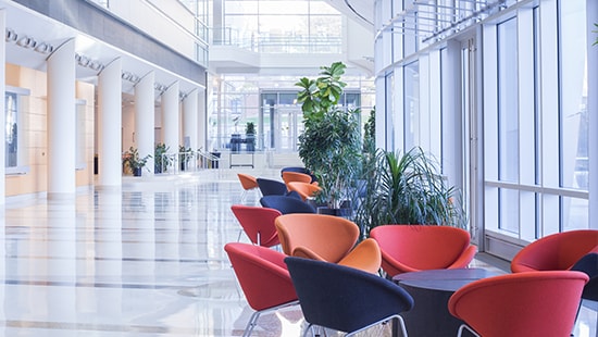 Smooth surface chairs in a brightly lit lobby